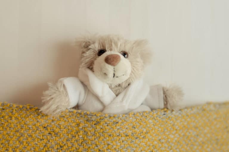 PREMIER SUITES PLUS Dublin Leeson Street stuffed bear tucked into bed